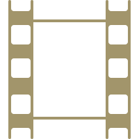 Приглашенный эксперт на телевиденьи